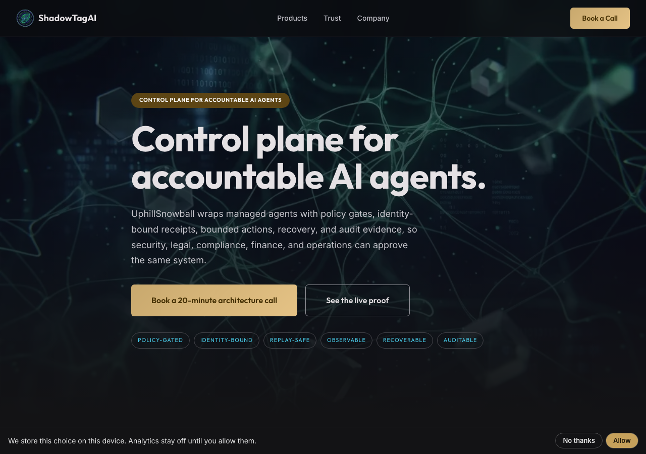 Public homepage of shadowtagai.com, captured logged out